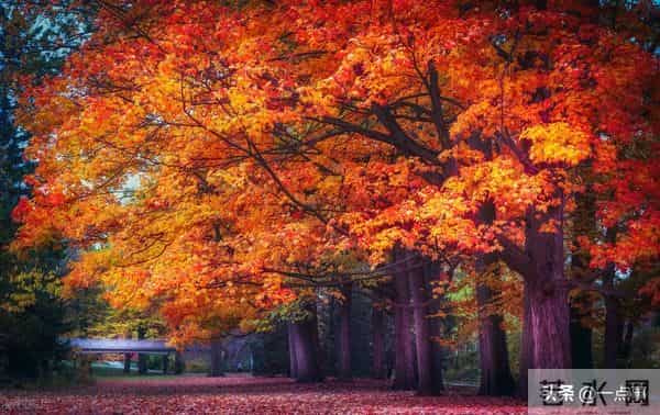 一个52岁女人的心里话：夫妻关系再好，女人也不要把丈夫当成亲人