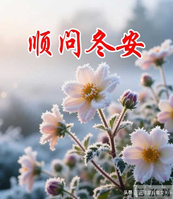 岁暮天寒念如初，落字成暖祝冬安