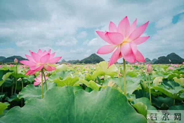 两性揭秘：为什么晚年夫妻越恩爱，越容易有这三种难言之隐