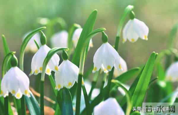 遇到这3种人，千万不要深交，离得越远越好！