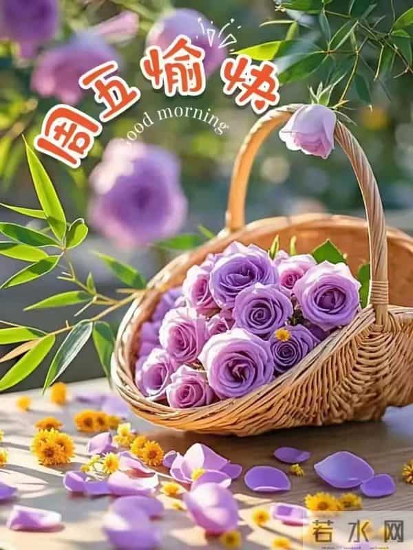 12月12日漂亮早上好图片祝福周五早上好温馨问候语 早安祝福图文