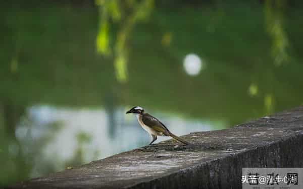 男人触碰女人这个地方，比亲吻拥抱还让她心动，50岁后越碰越恩爱