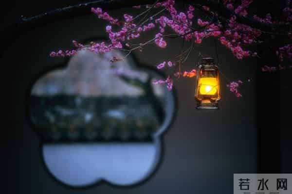 老了才明白：父母一旦超过70，立刻停止3种行为，否则晚景会凄凉