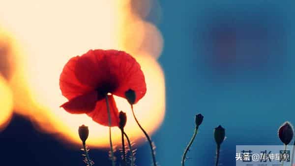 12月11日,未羊,未来10日,会有大的事发生!