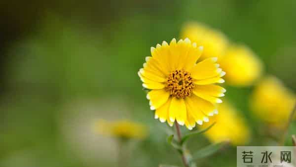 男人变心,不管是想复合,还是想放手,你都要这样做