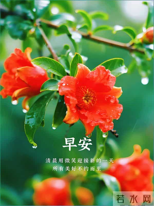 23句暖心早安祝福，微光向暖，岁月静好，愿你心怀热爱，日日舒心