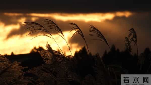 最近很火的朋友圈文案