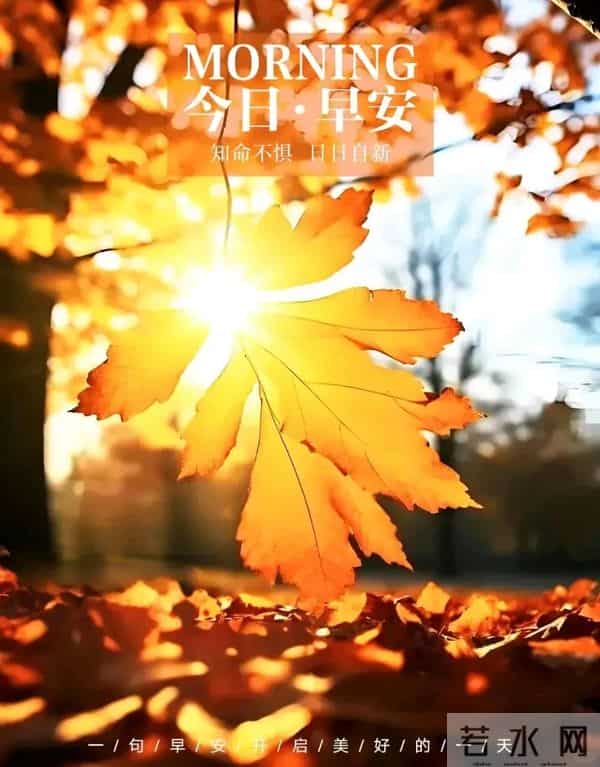 暖心祝福语图片丨浓浓心意，天天传递，舒心顺意，吉祥安康！