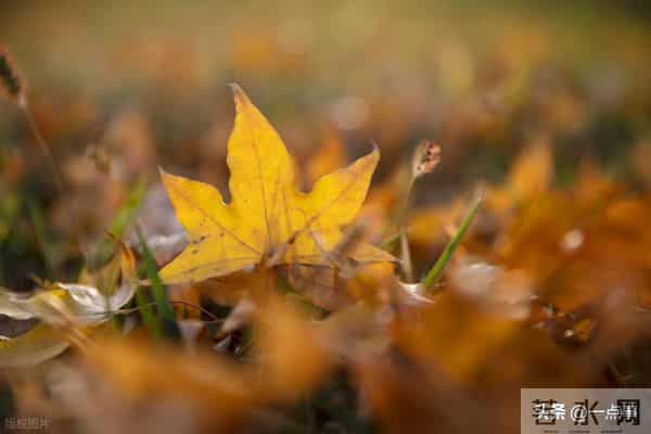 一个52岁女人的心里话：夫妻关系再好，女人也不要把丈夫当成亲人