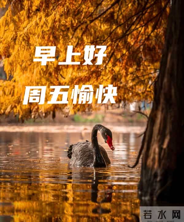 2025年12月12日早上好 早上好温馨问候祝福语 早安精美图片 周五愉快