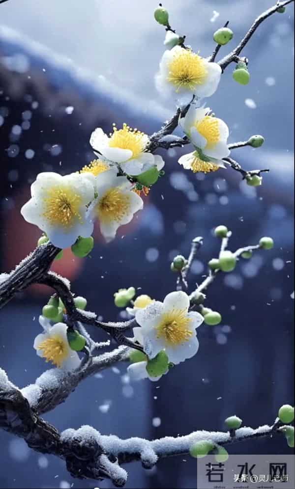 人到60才明白：要想活的痛快自在，就要少折腾，万事顺其自然！