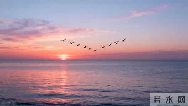 凡事都有他的美意