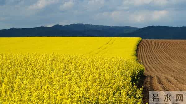 巨蟹座，人算不如天算，12月12日至12月18号下周星座运势