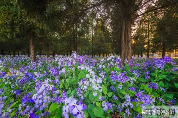 惊人的因果关系：男女之间，一旦发生了暧昧关系，一辈子也忘不了