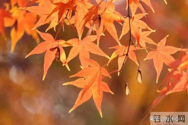 两性交往，刺激女人荷尔蒙的6个“心”开关，让她彻底为你折服！