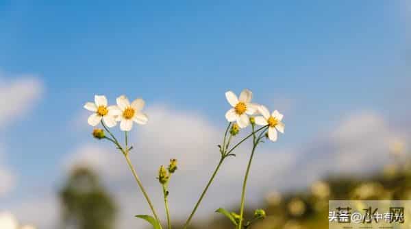 我照顾丁克小姨6年，意外看到遗嘱，果断离开不再联系