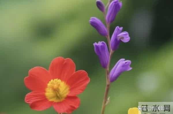 两性交往，这些“肉麻话”，女人很爱听，尤其是过了中年的女人