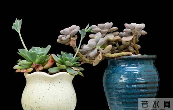 当遇见心头蜜糖宝贝，大声勇敢说爱，不负卿来不负己，让人间值得