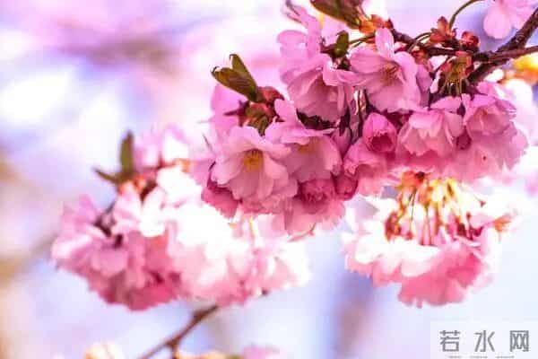 女人转运多半是：金牛逆袭2026