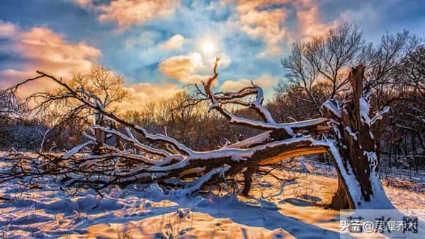 星座日运：12月12日 矛盾重重