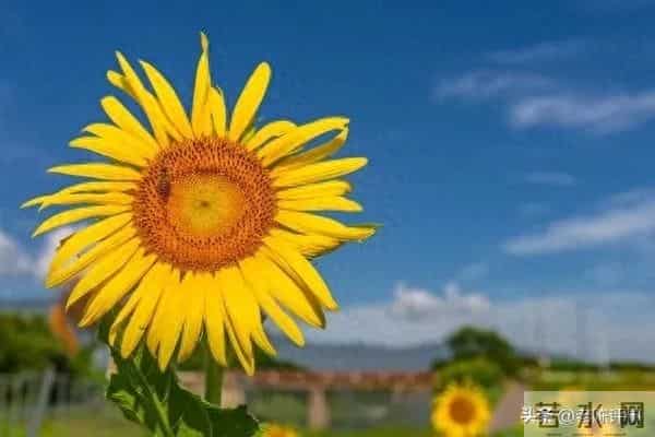 人生四定：“生死，缘分，财富，子女”天注定，任谁也改变不了！