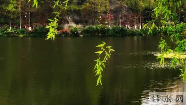 男人触碰女人这个地方，比亲吻拥抱还让她心动，50岁后越碰越恩爱