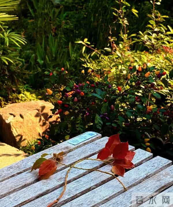 文案｜多像今年没藏住的情绪