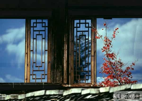 我刚想给儿子全款买房,儿子的女友竟说:阿姨,你有点边界感行吗