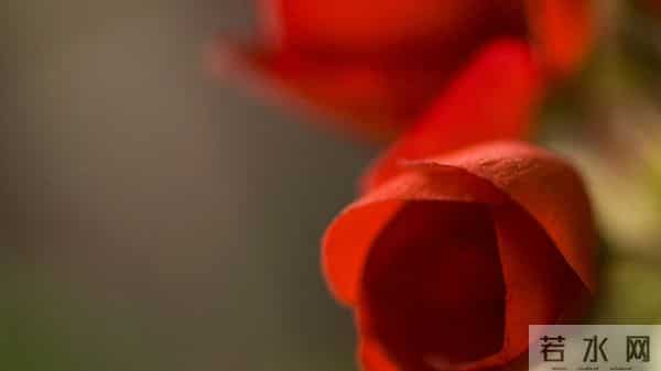 人算不如天算，12月12日至12月18号下周星座运势，射手座