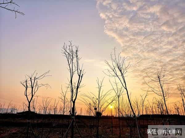 拖后腿（小小说）