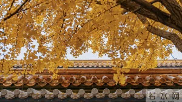 人过五十，异性对你再好，这3个便宜也别占，占了多半惹祸上身