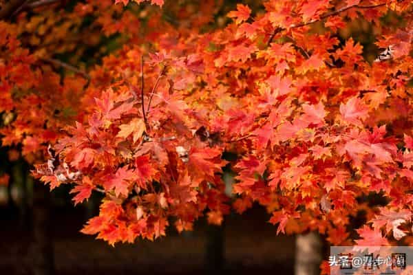 我同居过3位女性，发现女性45岁后找伴侣主要有3个动因
