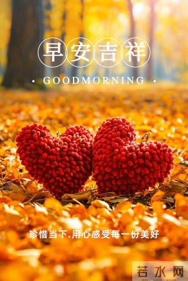 22句清晨暖心祝福，岁月温柔，安康常伴，愿你日日欢喜岁岁无忧