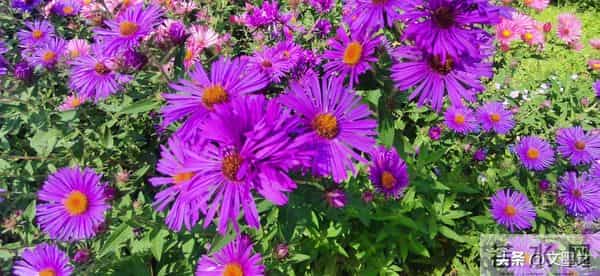 人老莫贪，过了六十，能混到这几点，就算有福之人，该知足了