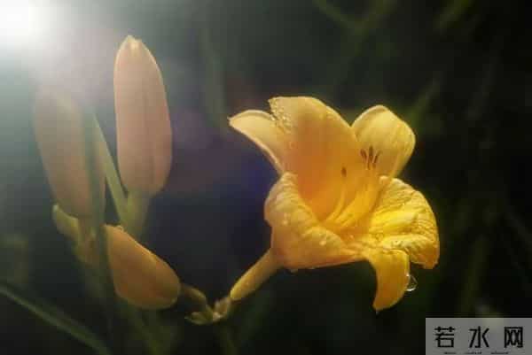 熬出头了，72年属鼠人，你的好日子来了