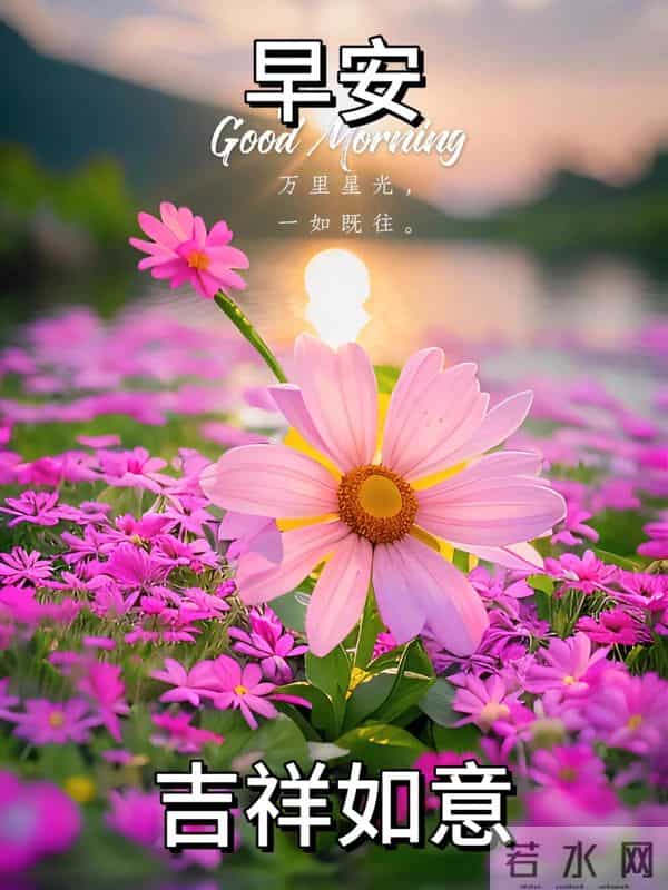 28句晨安暖心文案，时光安然，喜乐相随，愿你岁岁安然事事顺意