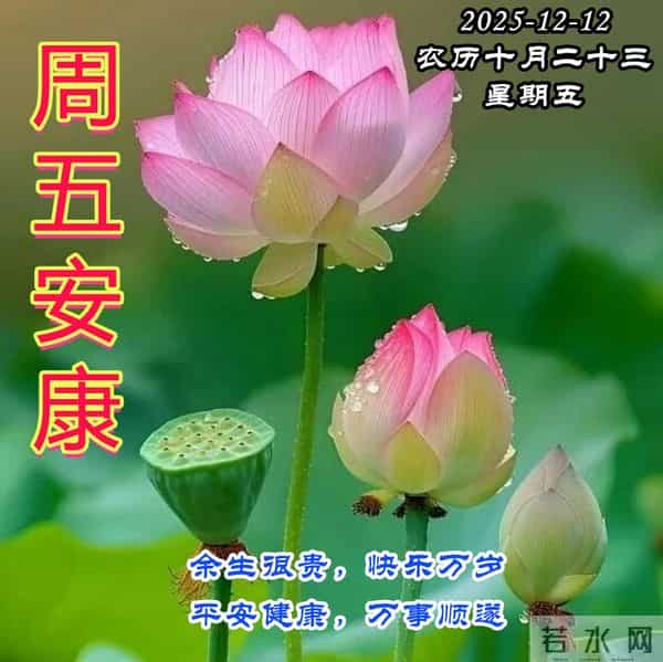 周五早安问候美图-冬日欢喜如意 四季清宁久安