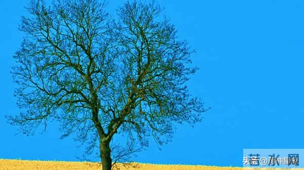 12月12日，射手座，未来11日，会有大的事发生！