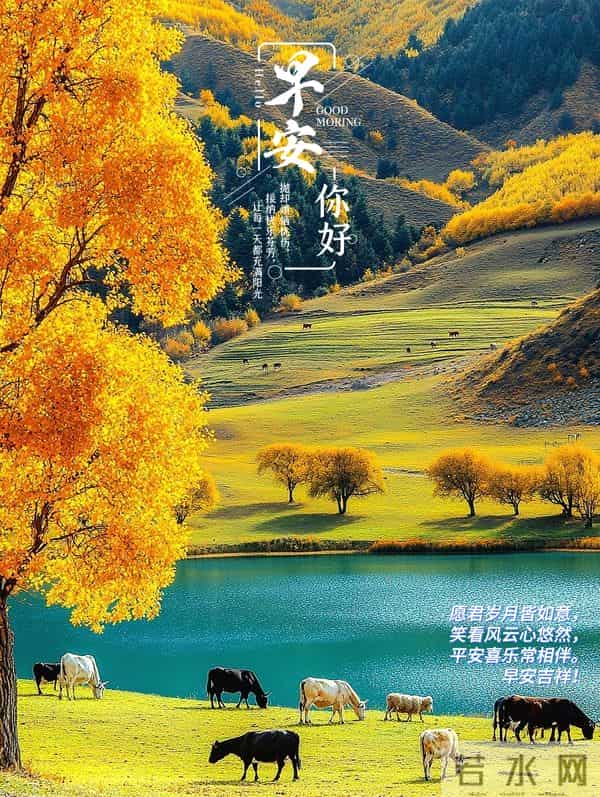 8张最新精美早安图片，冬意渐浓岁末至，愿您平安康健、年末顺遂~