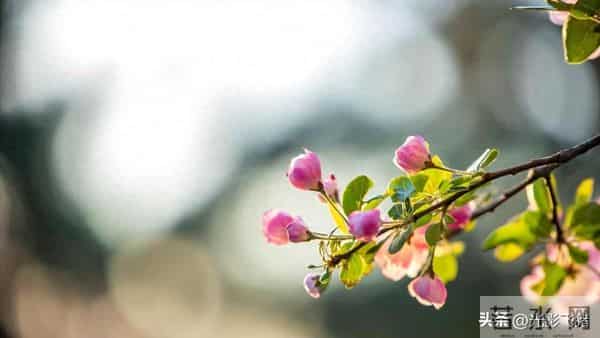 独生女毅然拒绝沦为家庭扶贫之对象，亲家却执着索要四居室之婚房