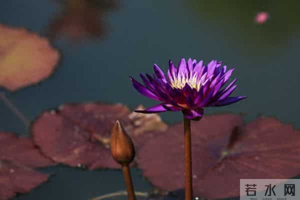 这样联系你的人,八成是想你了