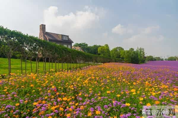 一个很厉害的本事:就是跟任何人相处,都大大方方的秘诀就一个