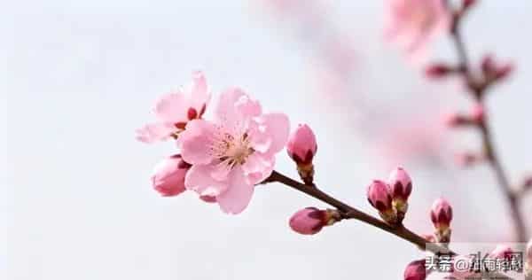 女人对你动情了，会有哪些细微动作？哪怕只触碰一个，她已难自控