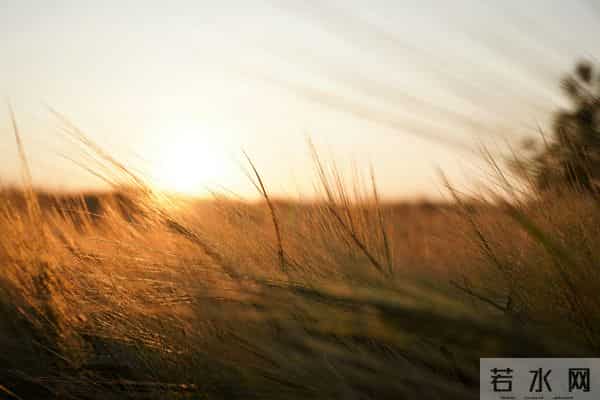 50岁后，别再讨好任何人，守住这3个底线，福气自然来