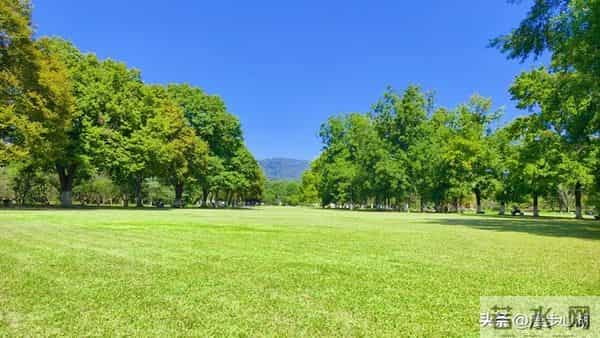 发现没？凡是男人带女人出去玩，女的都会穿裙子，你知道为什么吗