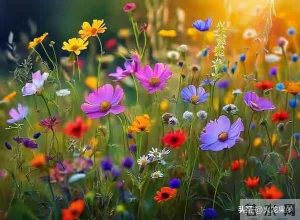 老了才明白：父母开始看你脸色了，不是他们怕你，而是他们老了。