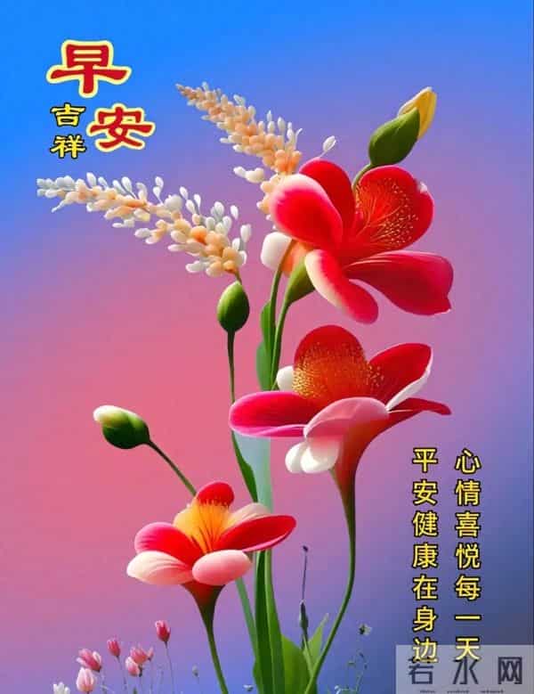 暖心祝福语图片丨浓浓心意，天天传递，舒心顺意，吉祥安康！