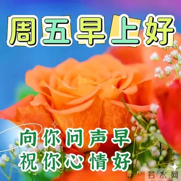 开心简短的早安佳句,高质量暖心问候,清晨又来到,向你问声好