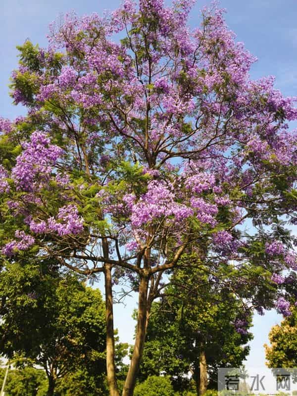修行的最高点，就是不修行了