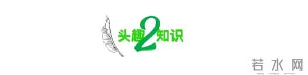 “把闺蜜打胎的秘密告诉了对象”引群嘲，暴露了人性最丑陋的真相